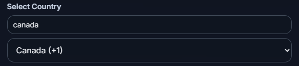 Example of selecting the correct country for a WhatsApp QR code